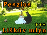 Penzion Li�k�v Ml�n