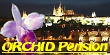 Orchid Pension - Praha 6 Orchid Pension - Praha 6