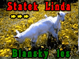 Statek linda