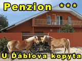 Rakvice