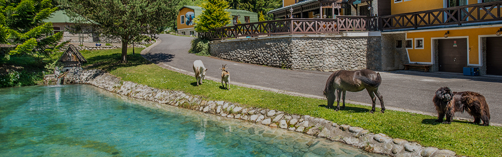 Horský hotel Orešnica