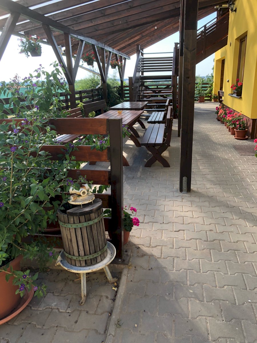 Penzion Selský dvůr — foto 2