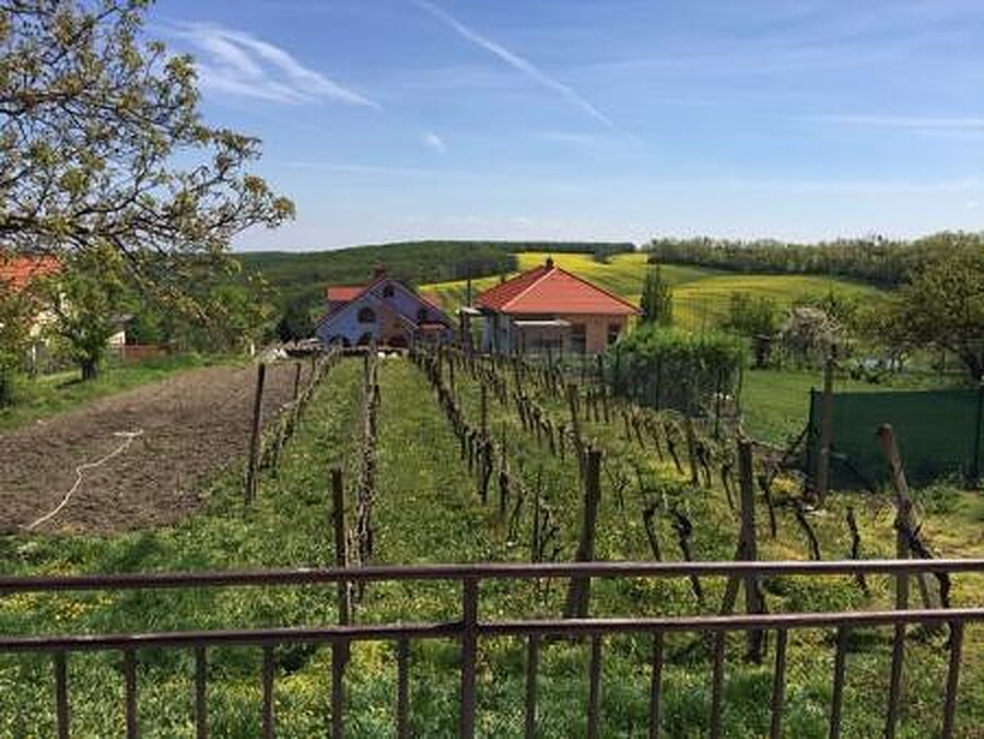 Ubytování Pálava — foto 6